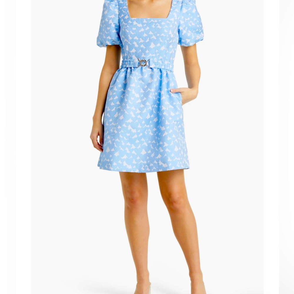 Lilly Pulitzer Kasslyn Heart Jacquard Fit & Flare Dress Size 2 NEW Never worn